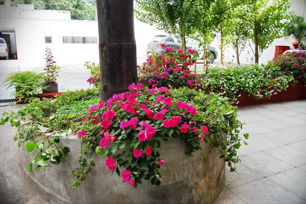 Tramas Andinas Aparthotel Salta Exterior photo